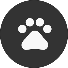 Pet Insurance
